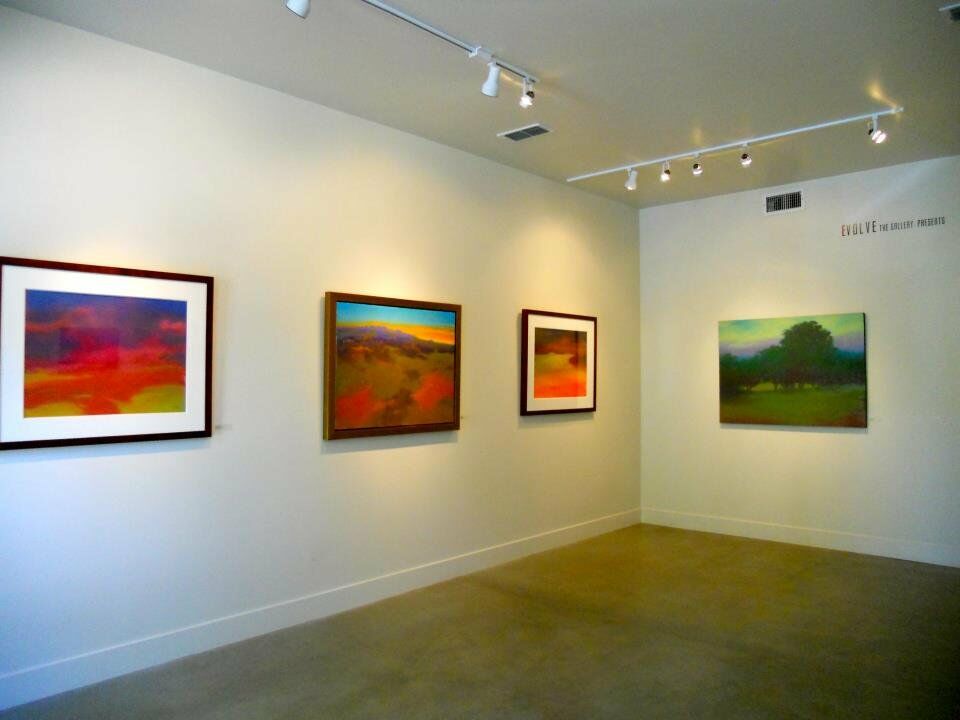 Art Gallery Evolve The Gallery