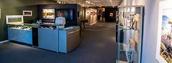 Art Gallery Blue Wing Gallery & Framing