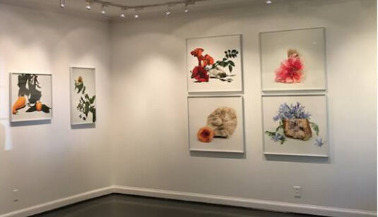 Art Gallery Jackson Fine Art Gallery