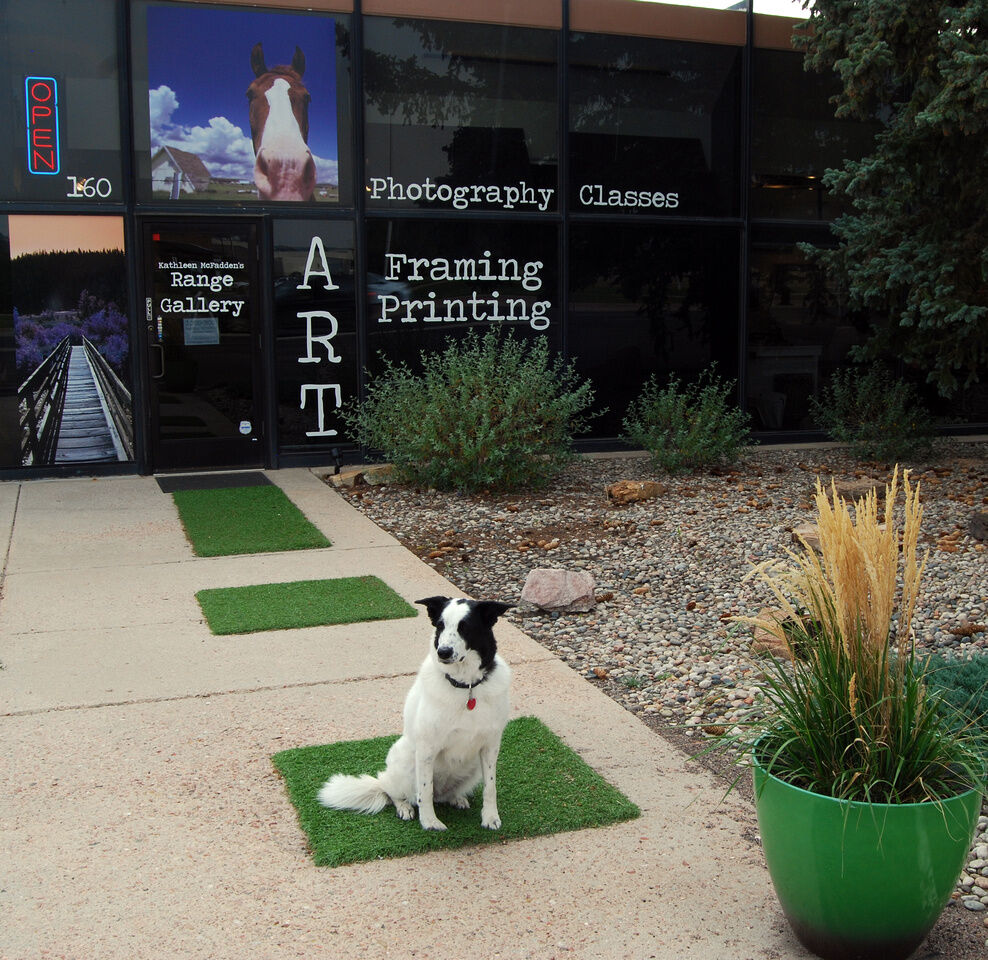 Art Gallery Kathleen McFadden’s Range Gallery