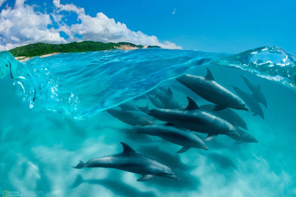 Art Gallery National Graphic Gallery