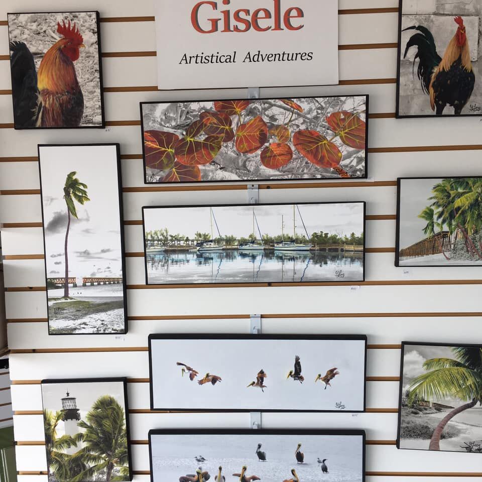 Art Gallery Arts of Paradise Gallery