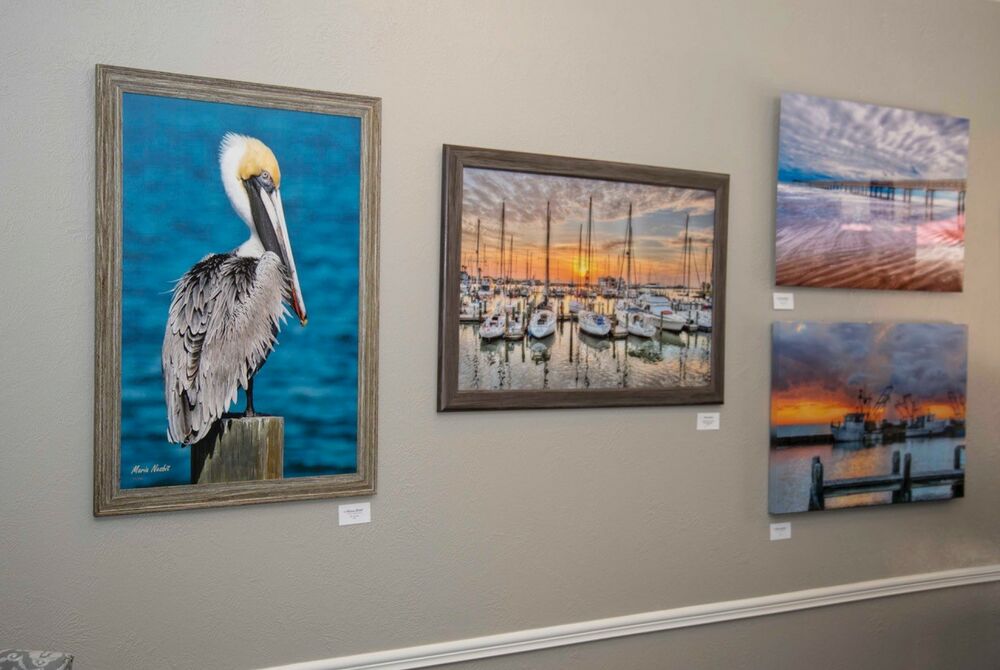 Art Gallery Maria Nesbit Photography Studio & Gallery