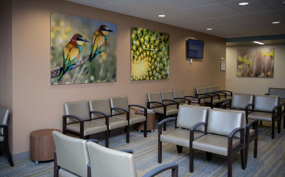 Art Gallery Rider Frames & Gallery