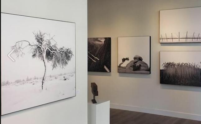 Art Gallery Lisk Gallery