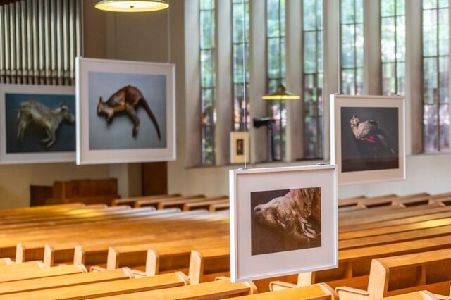 Art Gallery Simantob Gallery