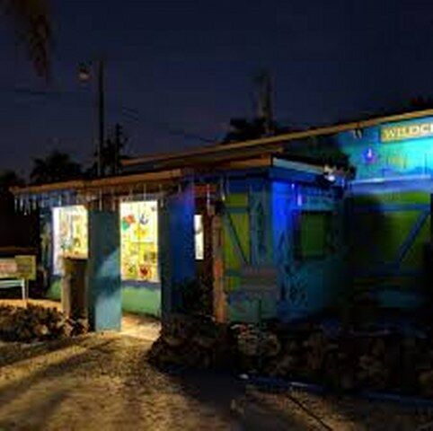 Art Gallery Wildchild Gallery