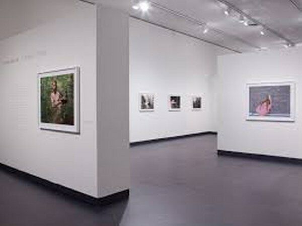 Art Gallery David Winton Bell Gallery