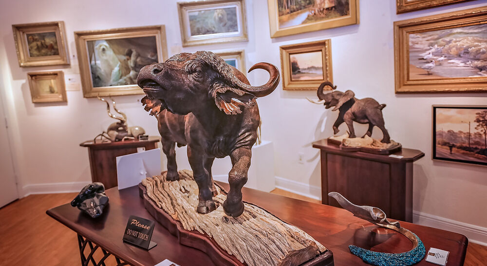 Art Gallery Call of Africa’s Native Visions Gallery