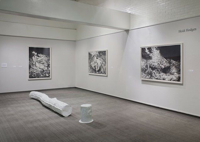 Art Gallery Heidi’s Art Gallery