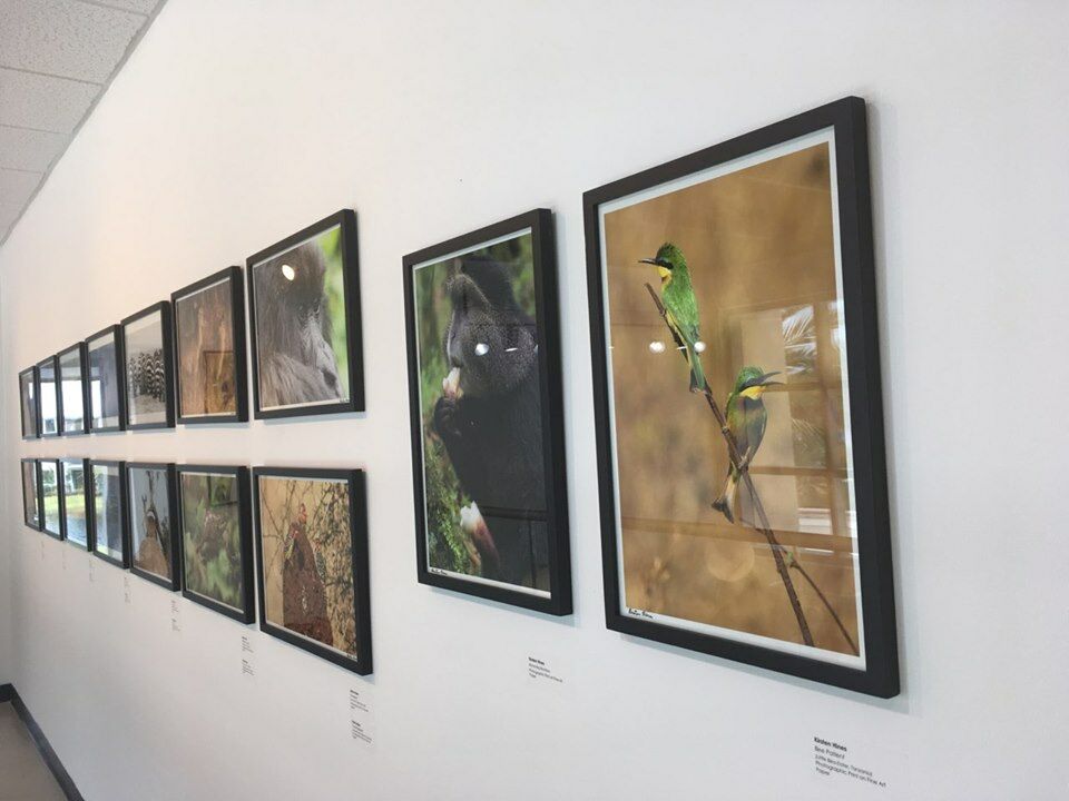 Art Gallery Boca Auction Gallery