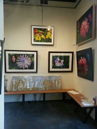 Art Gallery The Gallery At The Watershed