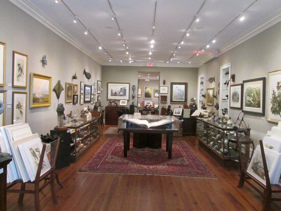 Art Gallery The Audubon Gallery