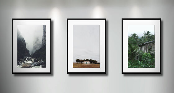 Art Gallery Gallery Classic